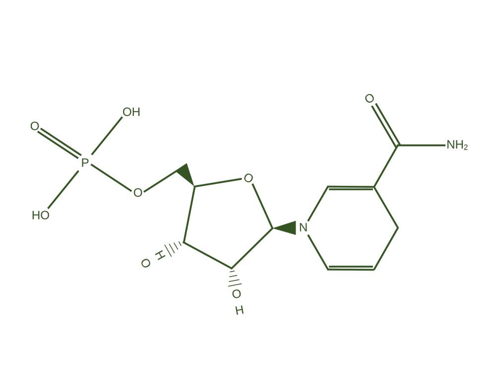 NMNH-Molecular-Structure